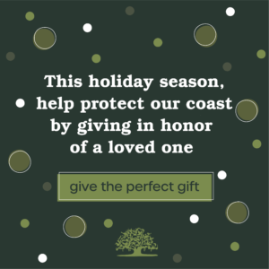 This holiday season, help protect our coast by giving in honor of a loved one.