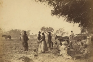 enslaved people on plantation working